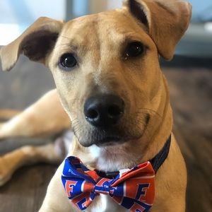 Meet your Posher, Bethany